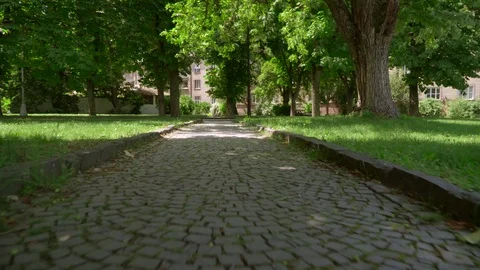 Path in the Park. Summer green Park in the city. A small green street with stone Stock Footage 109226754