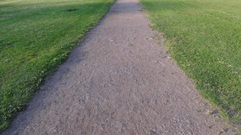 Path in the park in the summer Photos