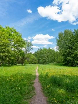 A path in the park on a sunny spring day Stock Photos