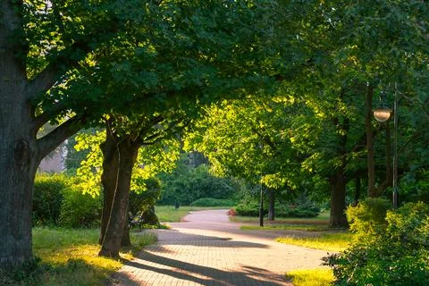 Path in the park at sunset. Beautiful landscape. Stock Photos
