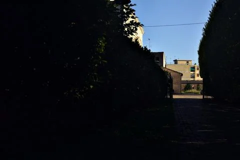Path in a park at sunset bordered by hedges that leads to a cobbled square Stock Photos