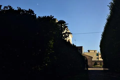 Path in a park at sunset bordered by hedges that leads to a cobbled square Fotos Stock