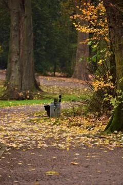 Path in the park surrounded by trees in autumn Stock Photos