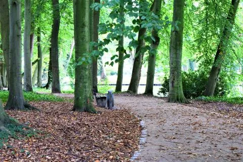 Path in the park surrounded by trees Stock Photos