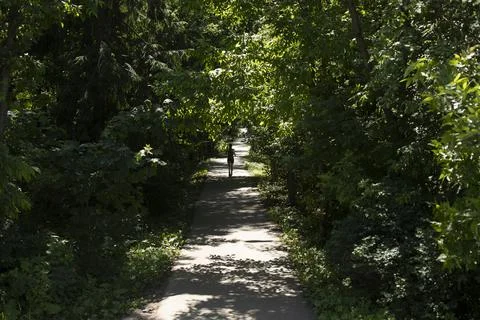 Path in park. Trail through forest. Stock Photos