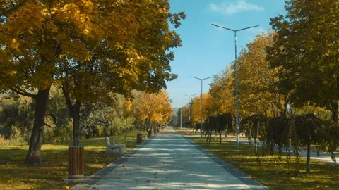 Path in a park with trees and a bench Stock Footage 309770269