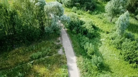 The path in the Park with trees Stock Footage 93449237