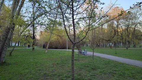 The path in the park was taken by a timelapse Stock Footage 193996878