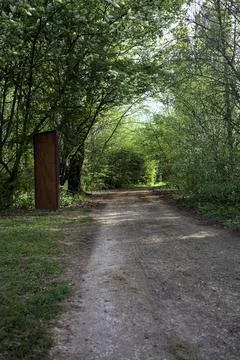 Path passing under a canopy of trees Stock Photos