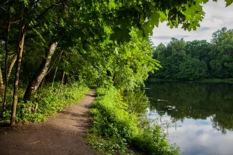 Path, Pathway In Summer Deciduous Forest Trees. Stock Photos