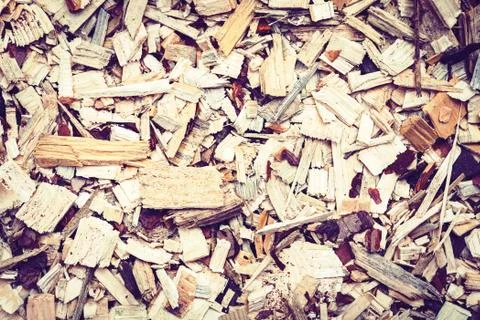 Path paved with decorative wooden slivers. Stock Photos