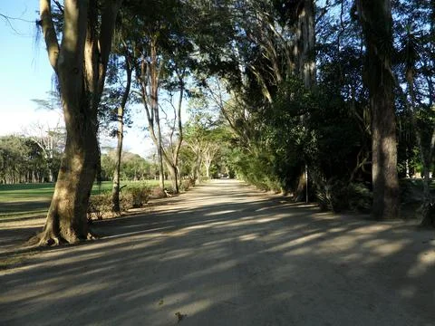 Path of Peace between the Trees in the City Park in Brazil Stock Photos