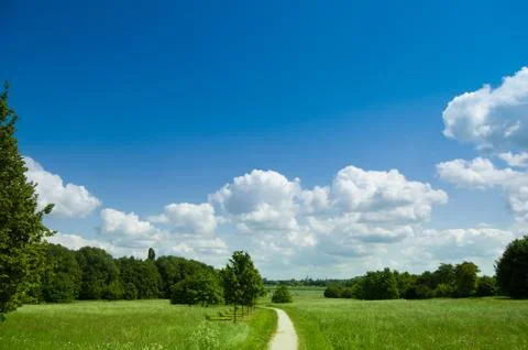 The path Stock Photos