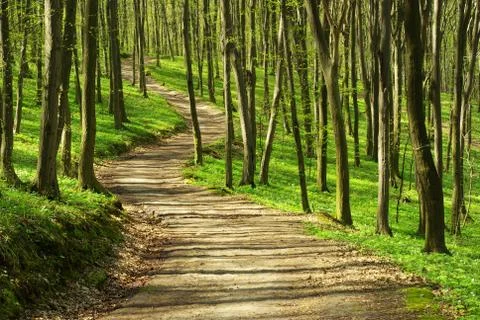 Path Stock-Fotos