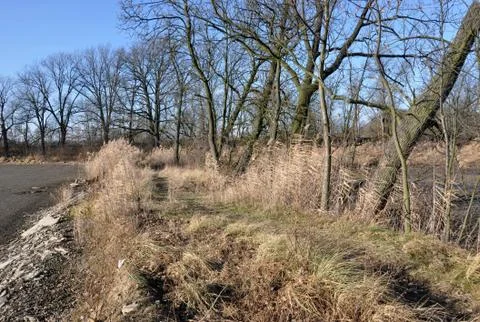 The path Stock Photos