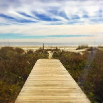 The Path Stock Photos