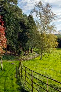 The path Stock Photos