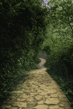 The path Fotos de archivo