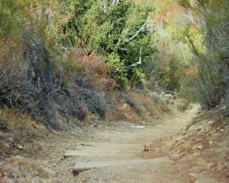 The Path Stock Photos