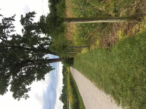 The Path Stock Photos