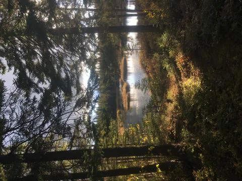 The Path Stock Photos