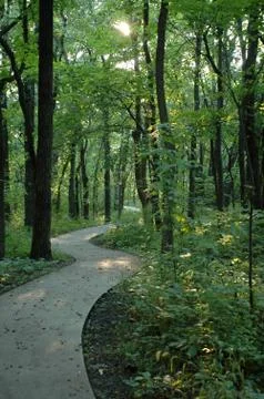 The Path Stock Photos