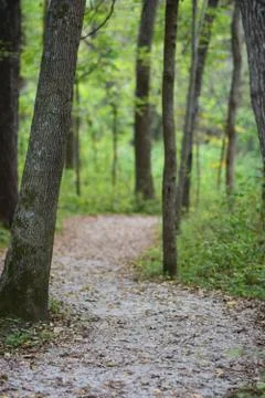 The Path Stock Photos