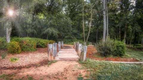 The Path 写真素材