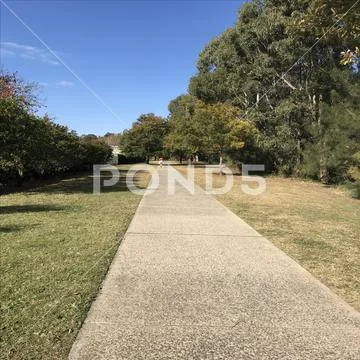 Path Stock Photos