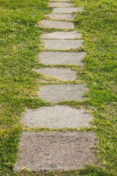 The path. Stock Photos