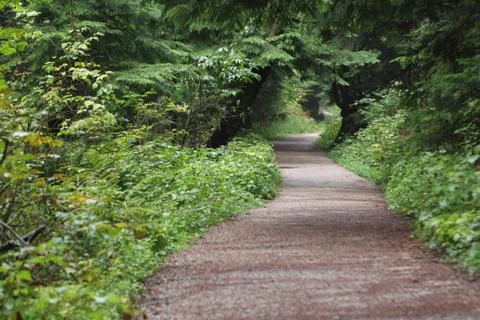 A Path Stock Photos
