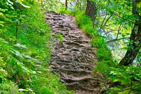 The path Stock Photos