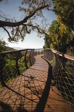 The path Stock Photos