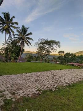 The path Stock Photos