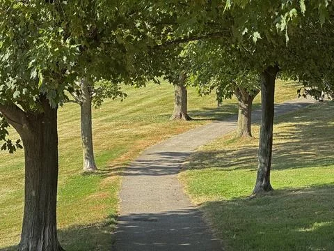 Path Stock Photos
