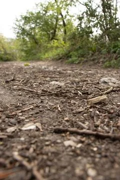 Path Stock Photos