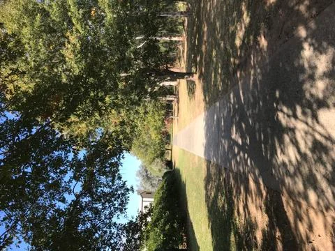 Path at Picton Foto stock