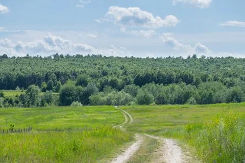 The path on the plain to the forest Stock Photos