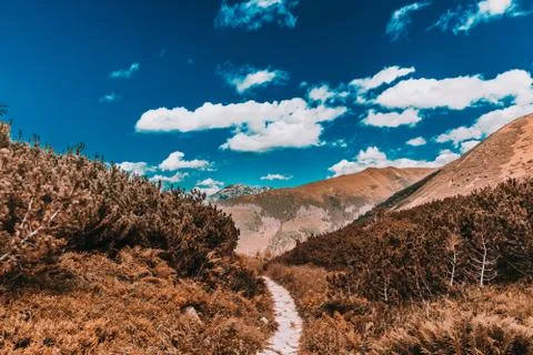 Path in the Polish Tatras Stock Photos