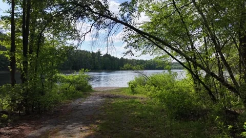 Path to pond 5-27-26 Stock Footage 335964979