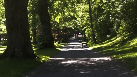 Path Public Gardens, Halifax, Nova Scotia, Canada Video stock 91756172