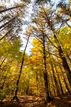 Path at Purgatory Chasm Stock Photos