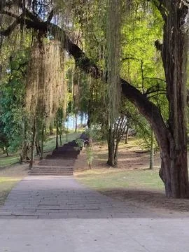 Path in a Quiet Park Fotos de archivo