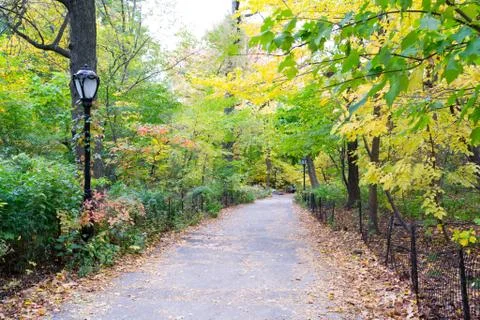 Path in the Ramble Stock Photos
