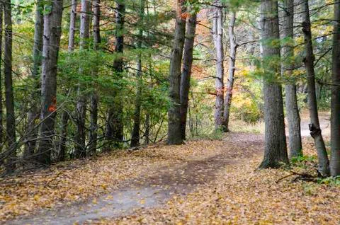 Path to reservoir Stock Photos