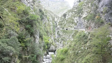 Path of the river Cares, Picos de Europa. Asturias Stock Footage 165364992