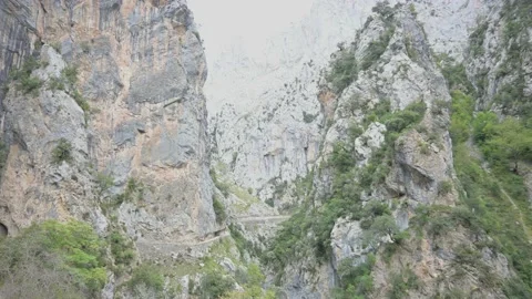 Path of the river Cares, Picos de Europa. Asturias Stock Footage 165365195