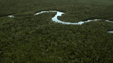 The path of the river in the forest Stock Footage 52333980