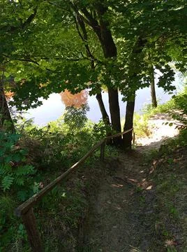 The path to the river Stockfoto's