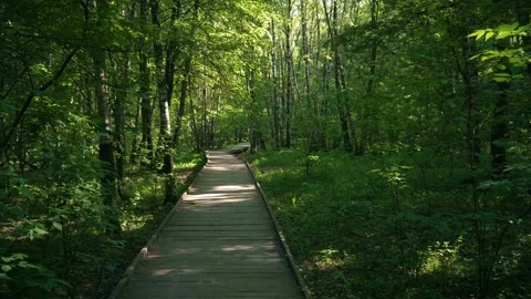 A path road 動画素材 108348177